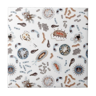Azulejo Bacterias y modelo del virus