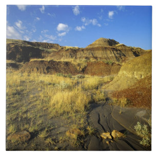 Azulejo Badlands en el Parque Provincial Dinosaurio en Alb