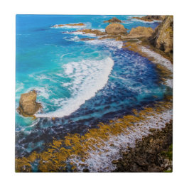 Azulejo Bahía Roaring En Punto Nugget