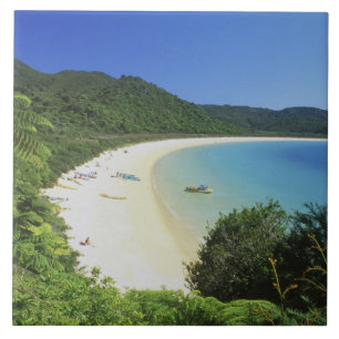 Azulejo Bahía Tonga, Abel Tasman NP, Isla Sur, Nueva