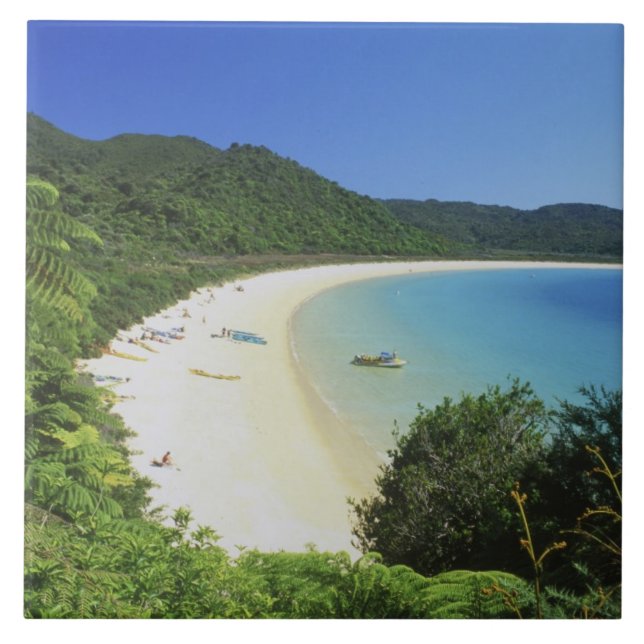 Azulejo Bahía Tonga, Abel Tasman NP, Isla Sur, Nueva (Frente)