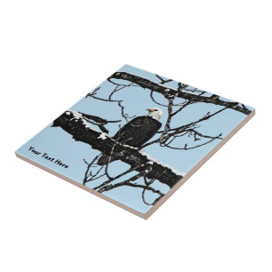 Azulejo Bald Eagle