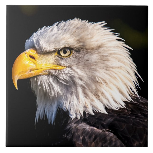 Azulejo Bald Eagle (Frente)