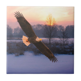 AZULEJO BALD EAGLE CERAMIC TILE