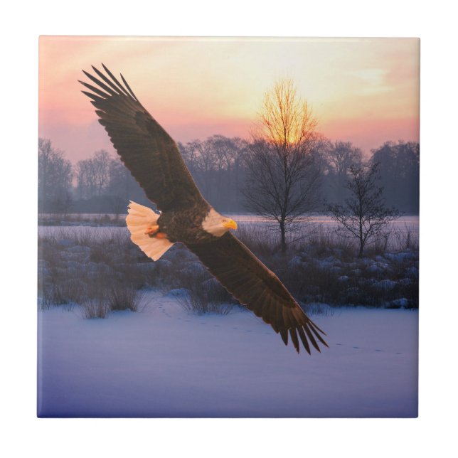 AZULEJO BALD EAGLE CERAMIC TILE (Frente)