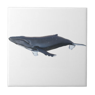 Azulejo Ballena jorobada en perfil