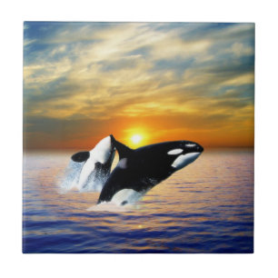 Azulejo Ballenas en la puesta del sol