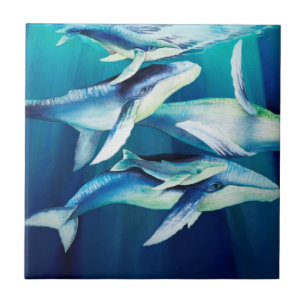 Azulejo Ballenas jorobadas