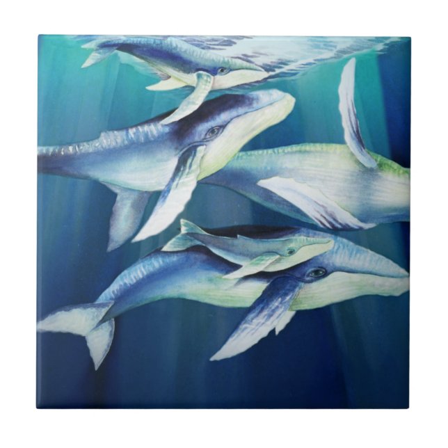 Azulejo Ballenas jorobadas (Frente)