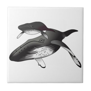 Azulejo Ballenas jorobadas