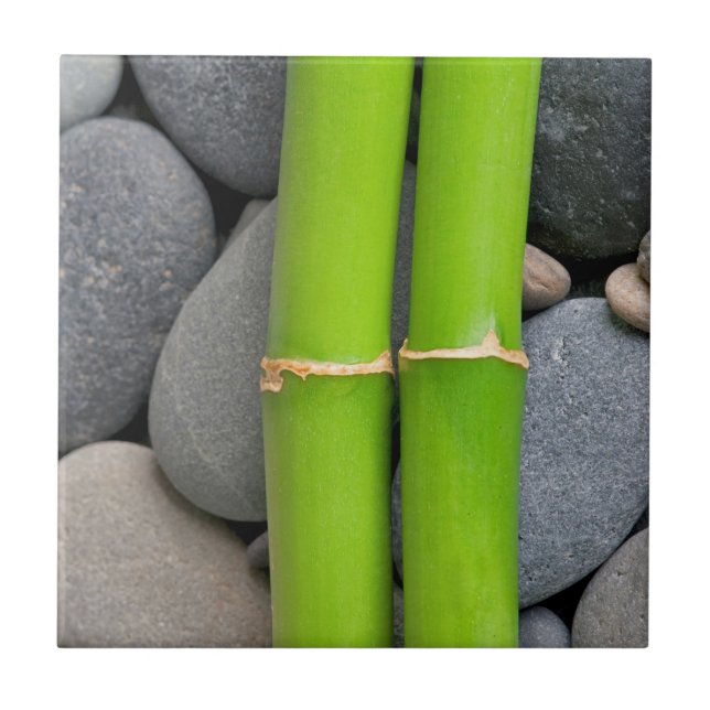 Azulejo Bambú y guijarro (Frente)