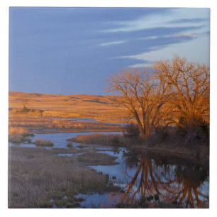 Azulejo Bañado por la luz del atardecer el río Calamus