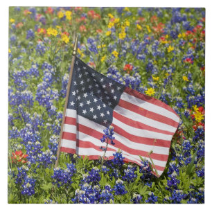 Azulejo Bandera americana en campo de Blue Bonnets,