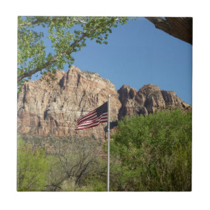 Azulejo Bandera Americana en Zion National Park II