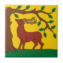 Azulejo Bandera de Berkshire (Reino Unido)