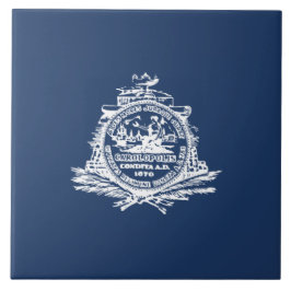 Azulejo Bandera de Charleston (Carolina del Sur)