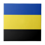 Azulejo Bandera de Gelderland<br><div class="desc">Bandera de Gelderland,  provincia de los Países Bajos. La bandera es un tricolor horizontal de azul,  amarillo y negro. Sus colores proceden del escudo de armas de Gelderland,  que a su vez se basaba en el escudo de armas del Hertogdom Gelre.</div>