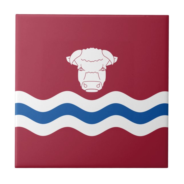 Azulejo Bandera de Herefordshire (condado del Reino Unido) (Frente)