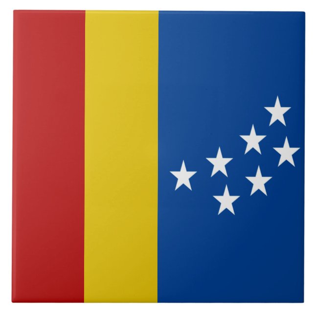 Azulejo Bandera de la ciudad de Durham (Frente)