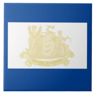 Azulejo Bandera de la ciudad de Newark