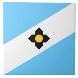 Azulejo Bandera de Madison (Wisconsin)