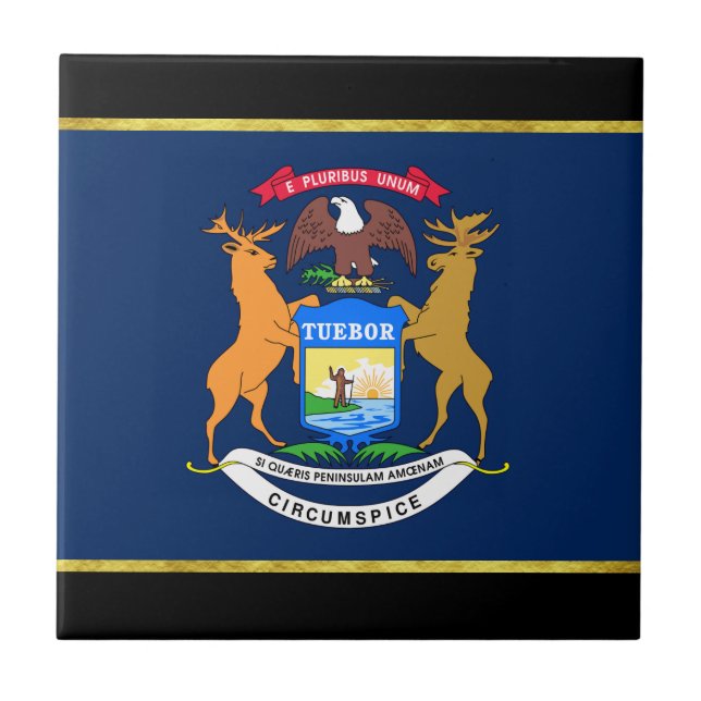 Azulejo Bandera de Michigan (Frente)