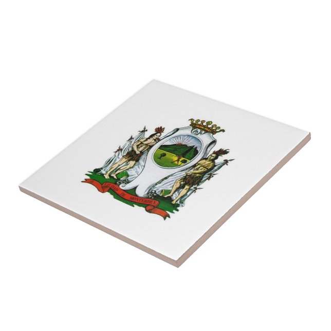 Azulejo Bandera de Monterrey, Nuevo León - MÉXICO (Lado)