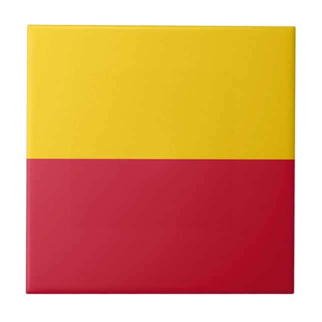 Azulejo Bandera de Schagen (Frente)