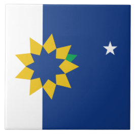 Azulejo Bandera de Topeka (Kansas)