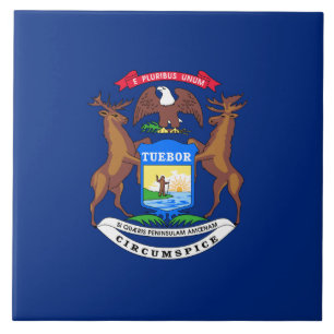 Azulejo Bandera del estado de Míchigan