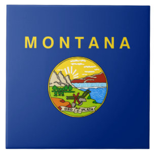 Azulejo Bandera del Estado de Montana