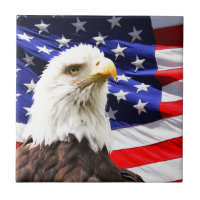 Bandera estadounidense y águila calva