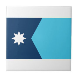 Azulejo Bandera estatal de Minnesota