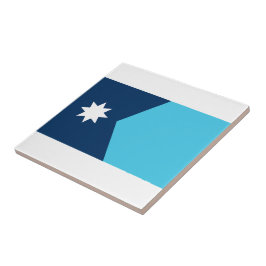 Azulejo Bandera estatal de Minnesota