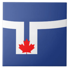 Azulejo Bandera municipal de Toronto (Canadá)