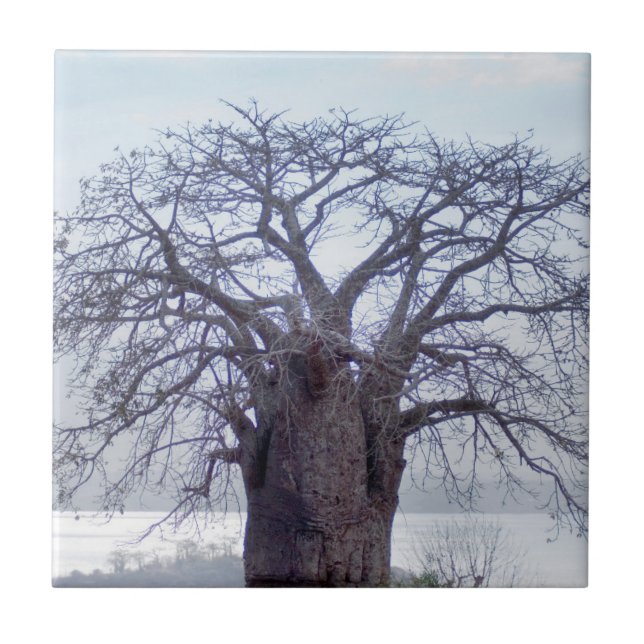 Azulejo Baobab (Adansonia Digitata), Luanda (Frente)