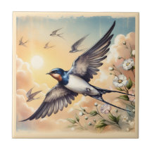 Barn Capistrano se inclina por el atardecer dorado