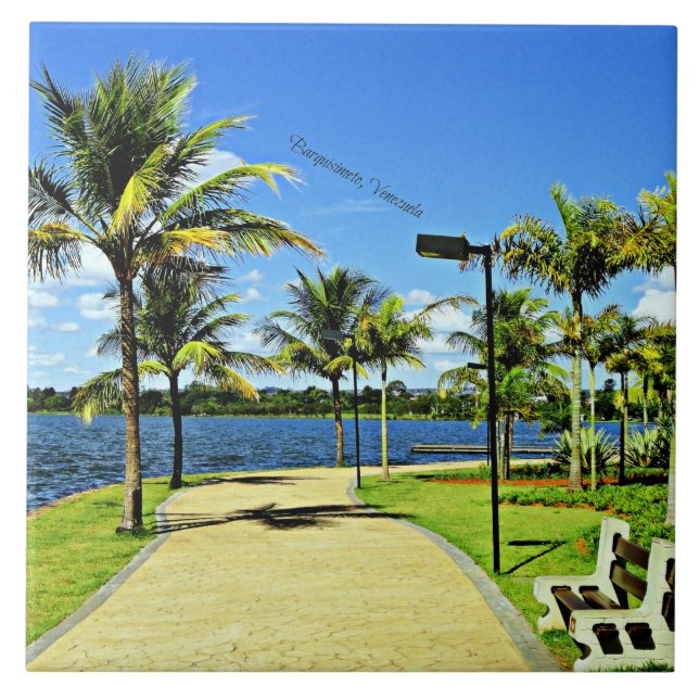 Azulejo Barquisimeto, Venezuela scenic photograph (Frente)