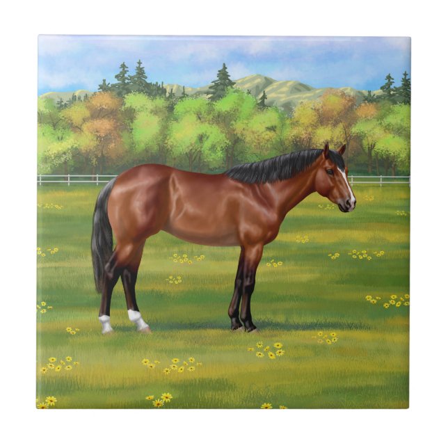 Azulejo Barrio de Brown (Frente)