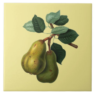 Azulejo Bartlett Pears Botanico ~ Cualquier fondo de color
