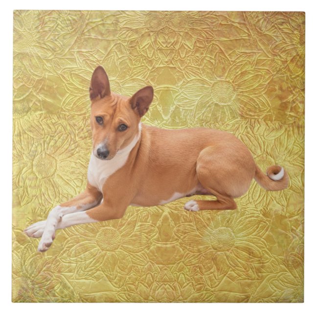 Azulejo Basenji Dog  (Frente)