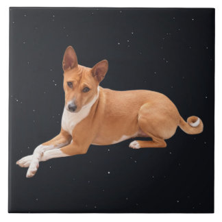 Azulejo Basenji Dog 