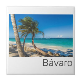 Azulejo Bavaro Beach Caribe República Dominicana Souvenir