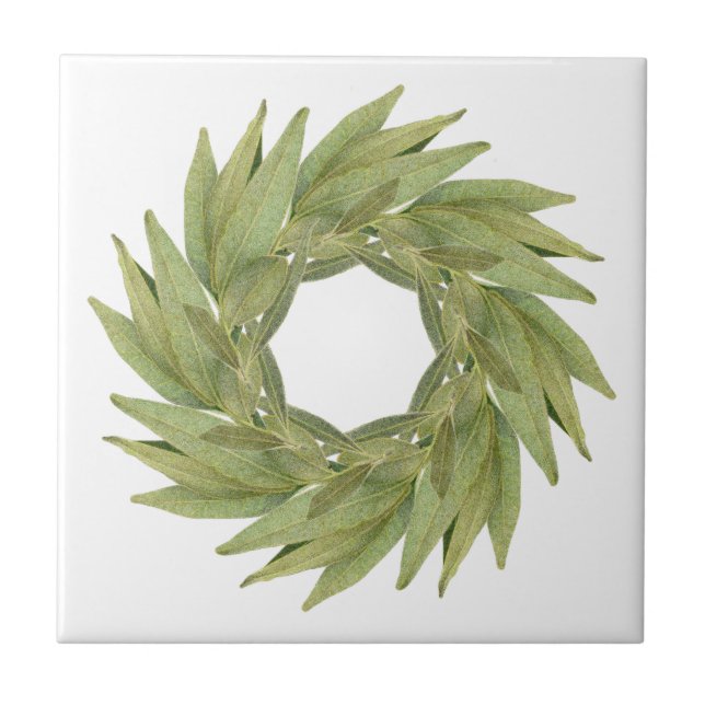 Azulejo BAY LEAVES WREATH 4.25" Tile cerámico (Frente)