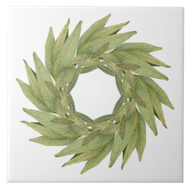 Azulejo BAY LEAVES WREATH 6" Tile cerámico (Frente)