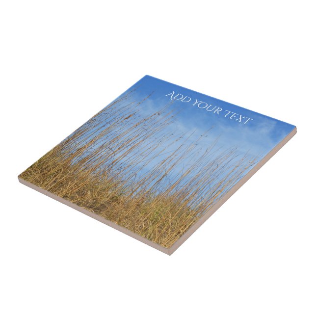 Azulejo Beach Grass por Shirley Taylor (Lado)