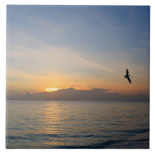 Azulejo Beach Ocean Sunset Photo 195