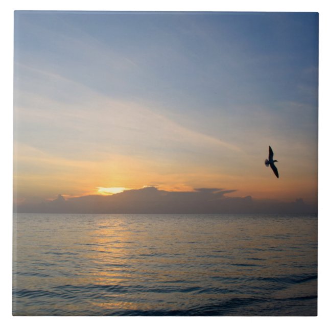 Azulejo Beach Ocean Sunset Photo 195 (Frente)