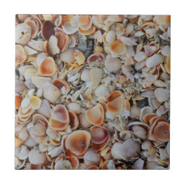 Azulejo Beachy Seashells