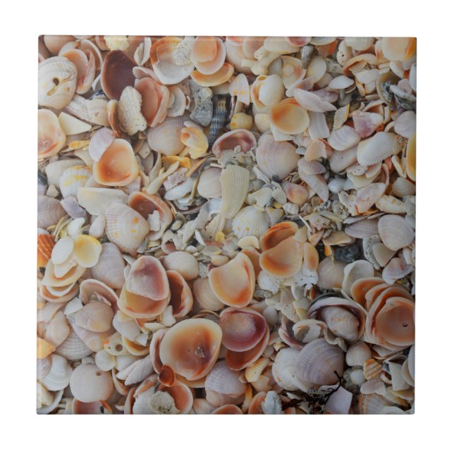 Azulejo Beachy Seashells (Frente)